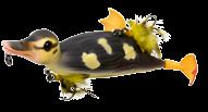 Kongsvinger Det nyeste til gjeddefiske fra