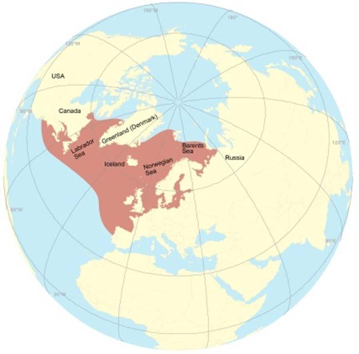 1 Innledning Atlantisk laks finnes både på vest- og østkysten av Nord-Atlanteren, og i Europa gyter det laks i elver fra Nord-Portugal og nordover til nordøst-finnmark og Kolahalvøya.
