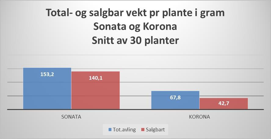 Som resultatene viser så er dette ikke godt nok. Vi ønsker en salgbar avling per plante på helst 300-350 gram og gjerne mere.