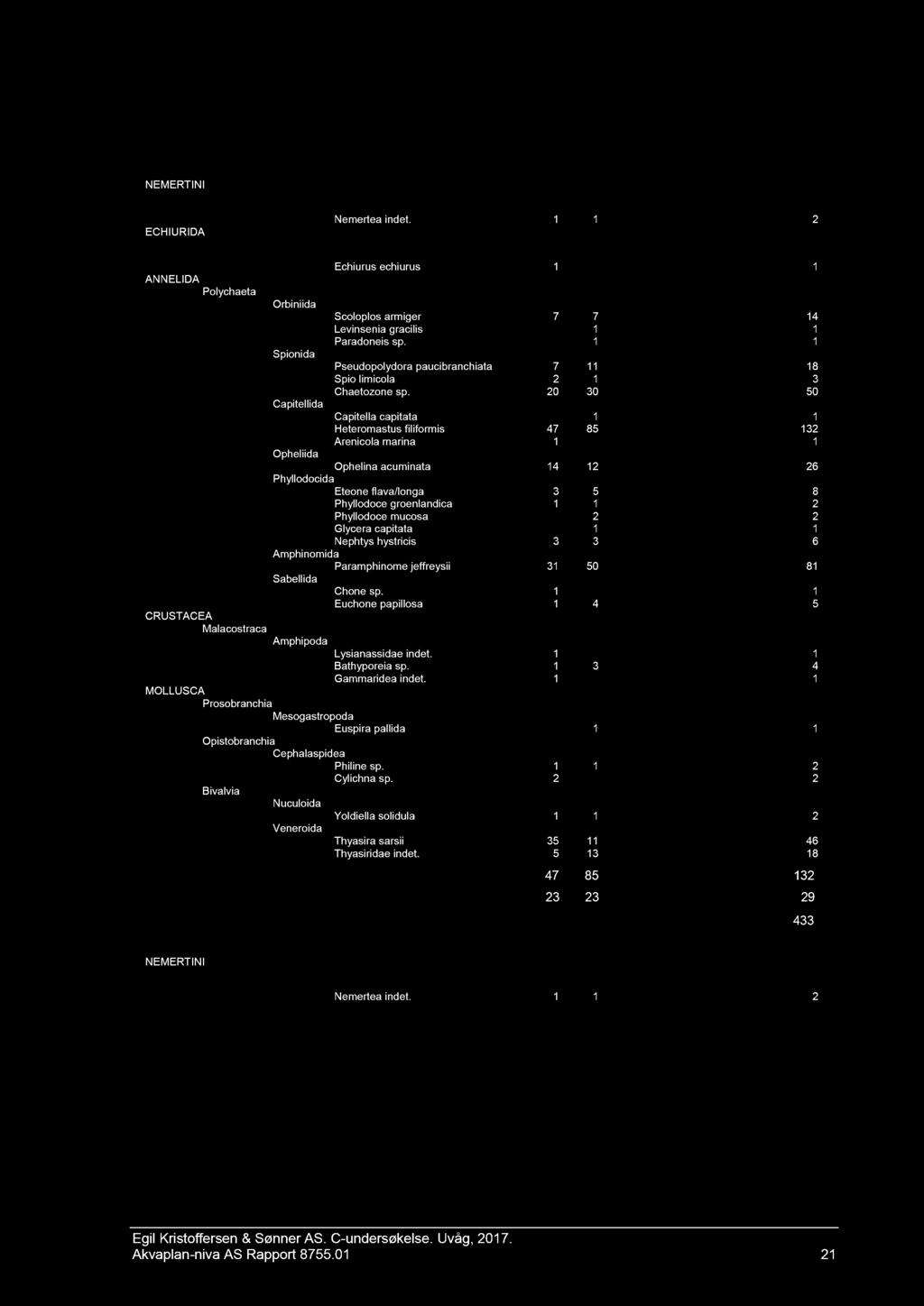 Artsliste Uvåg C - und. 2017 Rekke Klasse Orden Art/Taxa 01 02 Sum Stasjonsnr.:St 3 NEMERTINI ECHIURIDA Nemertea indet.