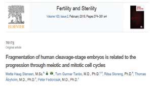 001 Alder og fragmentering Alder: oocytter og embryo høy andel kromosomfeil (Kuliev et al.