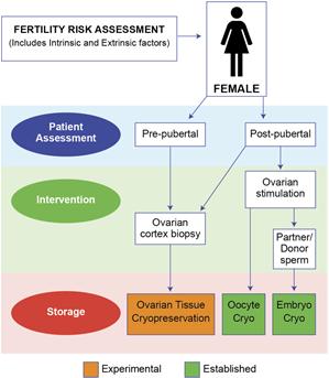 30, 2015 A 27 year woman with sickle cell anemia who had frozen ovarian tissue before menarche gave birth to a boy after ovarian tissue transplantation. Jensen AK et al. Hum Reprod.