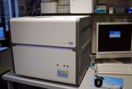 Yersinia pestis Real-time PCR og dyrkning Ja*
