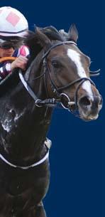 Autumn Horses in Training Sale October 29 - November 1 The World s Largest