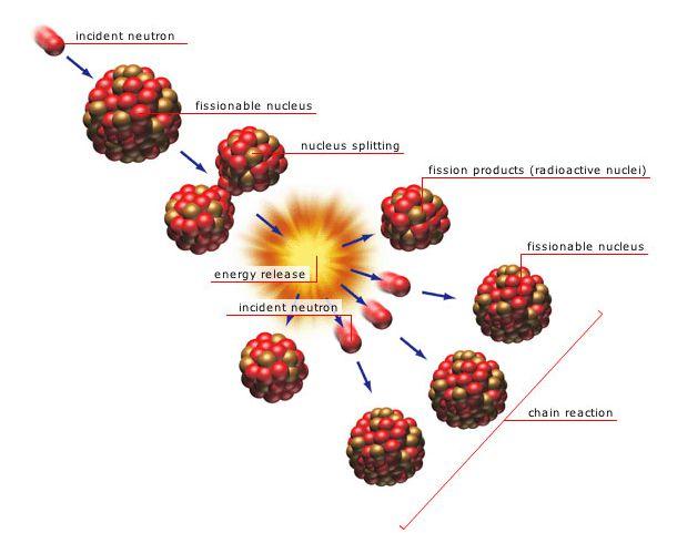 Nøytronet starter spaltingen en tung atomkjernen deles i