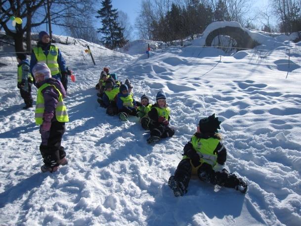 formet i snø og fått erfaring med glatt føre.