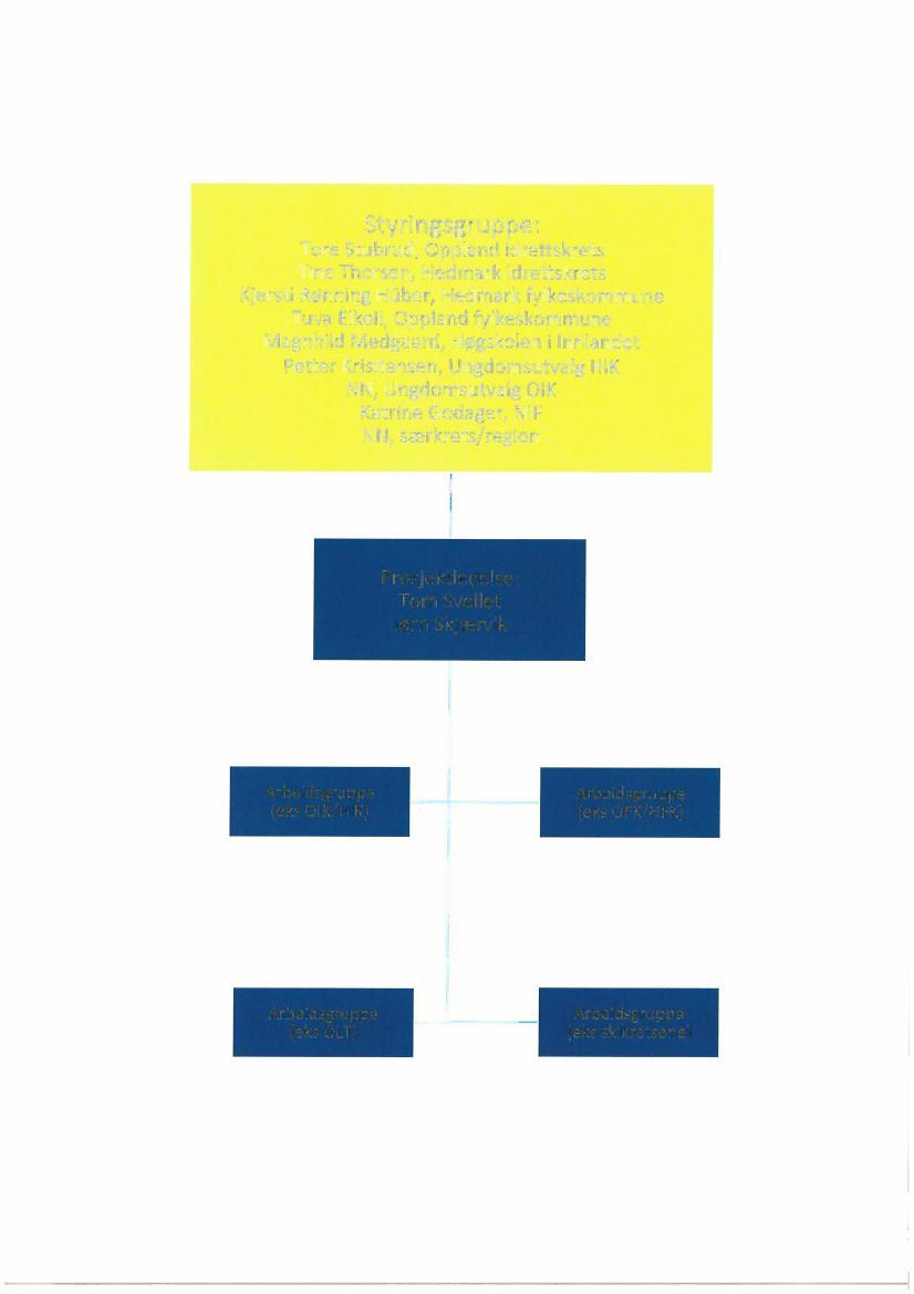 Styringsgruppe: Tore Stubrud, Oppland idrettskrets Tina Thorsen, Hedmark idrettskrets Kjersti Rønning Huber,