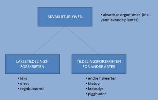 3 PROSESSEN FOR Å SØKE DYRKNINGSKONSESJON Dagens regelverk for å søke konsesjon til akvakultur av makroalger er under endring.