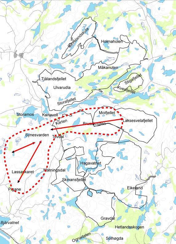 og tyngdeområder for havørn,