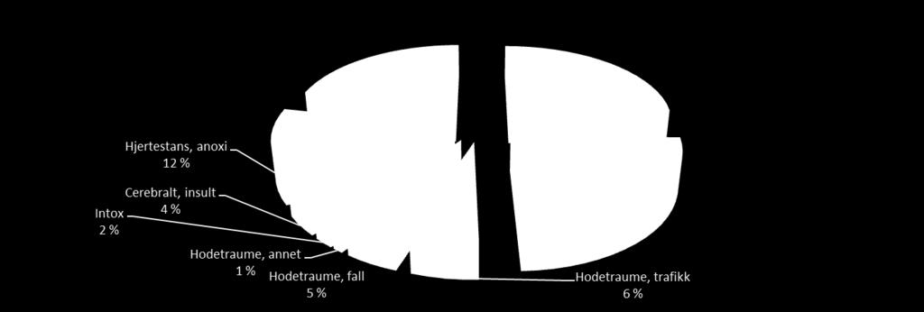trafikk 8 6 Hodetraume, fall 4 5 Hodetraume, annet 5 1