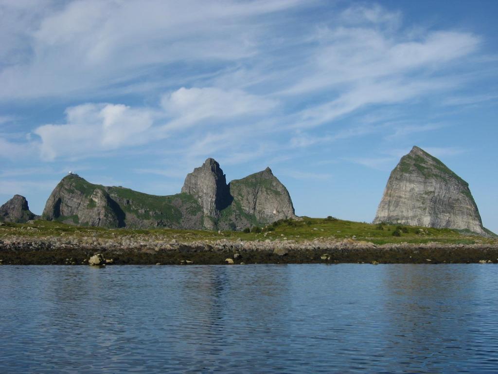 Kardio-onkologi Kardiale bivirkninger