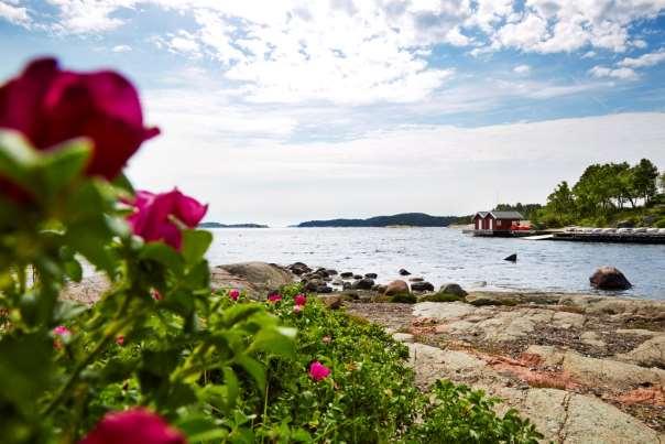 Når overvann ledes til kommunal spillvannsledning. Kommunal spillvannsledning blir tilført vesentlig mer vann enn forutsatt da overvann fra bare en bolig eller eiendom kan gi svært mye vann.