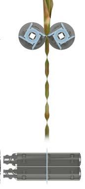 Funksjonsprinsipp for koniske valser. De koniske plukkvalsene virker slik at maisplantene trekkes gjennom med økende hastighet ettersom valsens diameter øker.