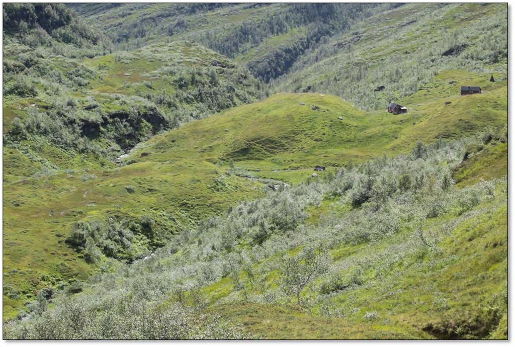 Figur 14. Trefallstølen (oppe til høyre). Foto: Kjetil Mork. 4.5 Dagens brukere og bruksområder Generelt dominerer det man kaller turfriluftsliv i området, dvs.