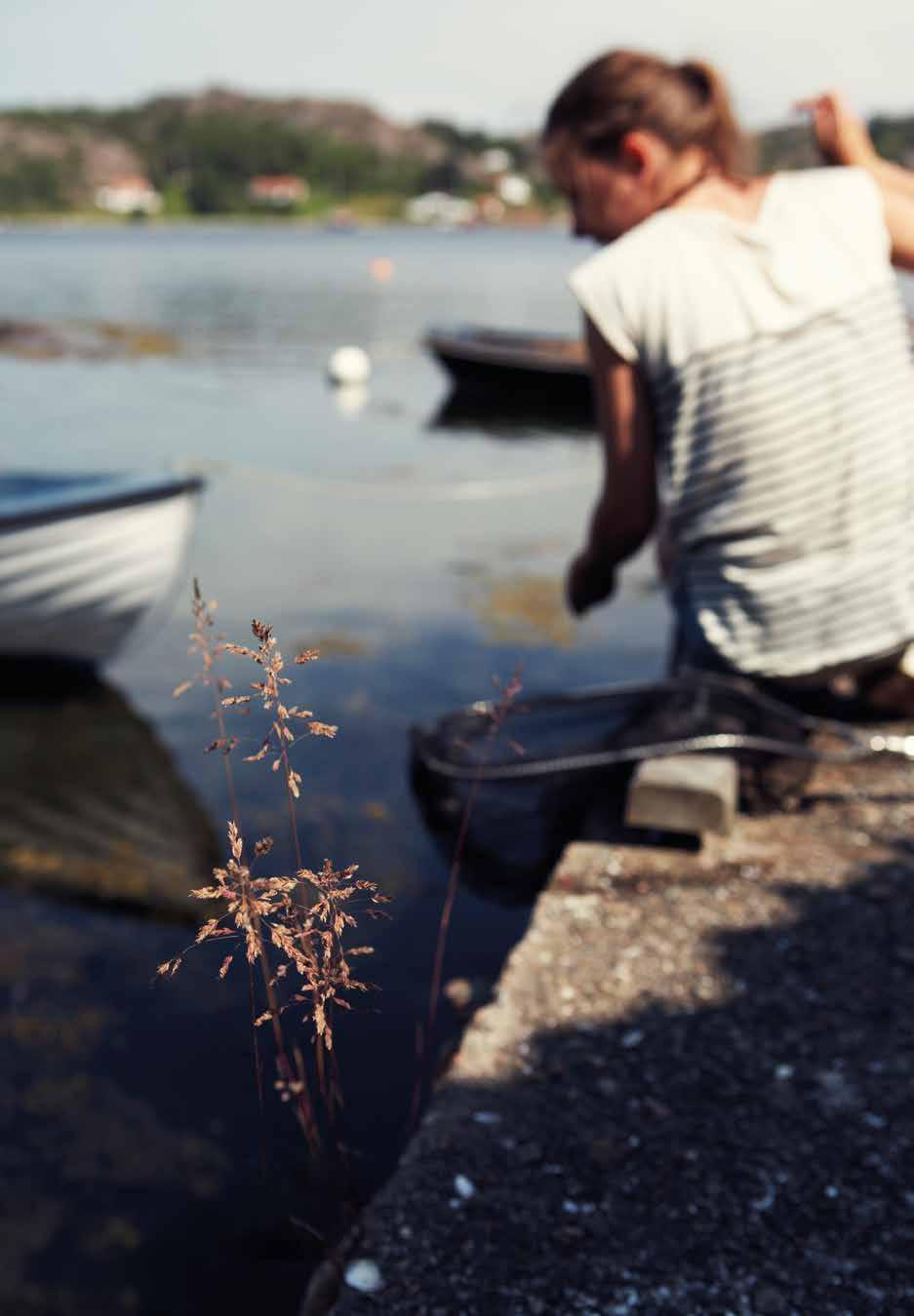 VÅR VISJON: VESAR nøkkelen