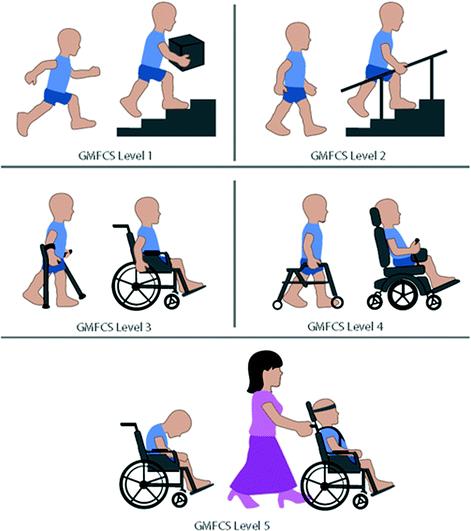 Gross Motor Function