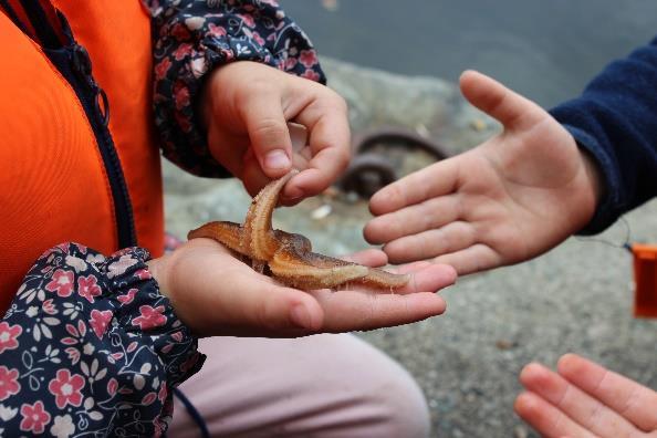 Dette er en langsiktig plan som skal følge barna gjennom hele barnehagetida. Akasia Sædalen barnehage ligger perfekt til i naturskjønne omgivelser, og vi benytter oss aktivt av dette.