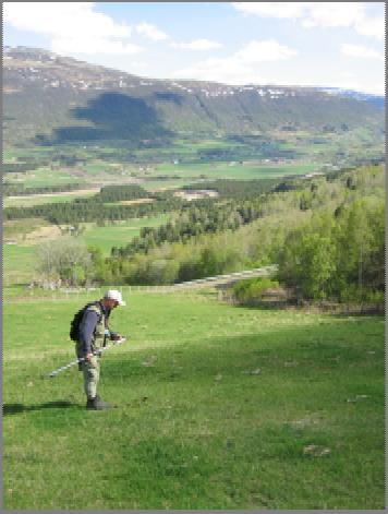 3 Jordsmonnkartlegging Jordsmonnskartlegging forutsetter god kjennskap til geologi, geomorfologi, kvartærgeologi, pedologi og agronomi.