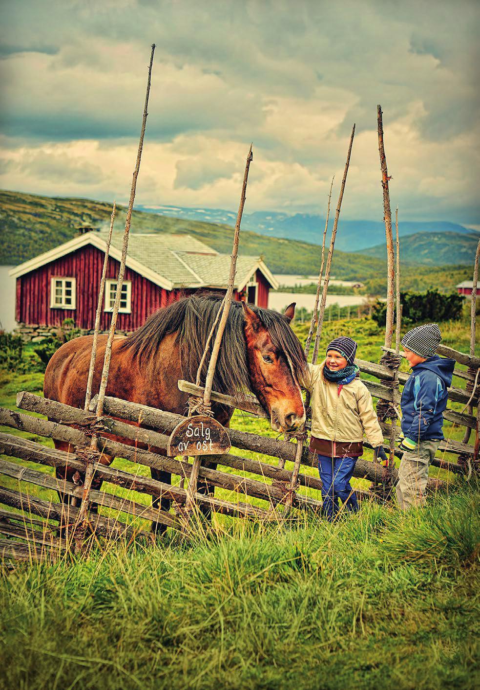 Mål: Foto: Cathrine Dokken 2.