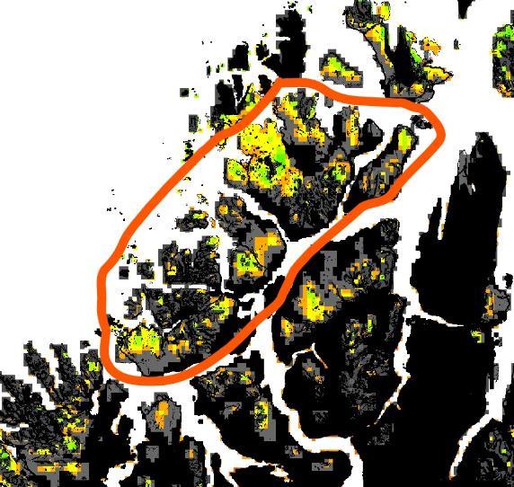 Figur 6. Eksempel på hva som kan utgjøre et "mest egnet område", basert på det analyseområdet i steg 3. Det må vurderes nærmere hvordan de mest egnede områdene skal fremstilles på kart.