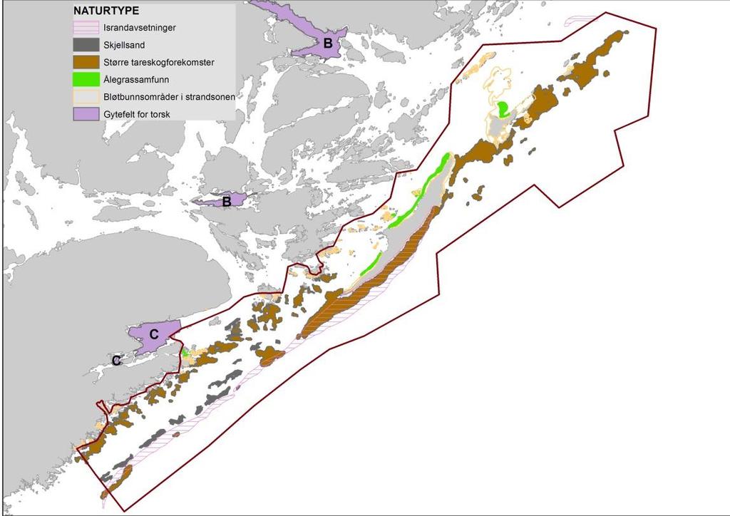 Forvaltningsplan Jomfruland nasjonalpark Marine naturtyper. Kilde: Norsk institutt for vannforskning og er derfor en viktig del av det biologiske mangfoldet.