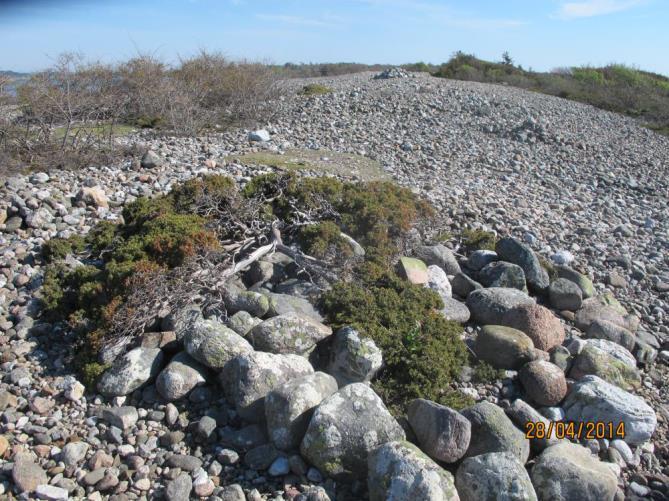 Den er dypest utenfor Arendal med over 700 meter og har mindre, grunnere forgreininger inn mot Langesundsfjorden, Oslofjorden og Hvaler. Utenfor nasjonalparken skråner sjøbunnen til ca.