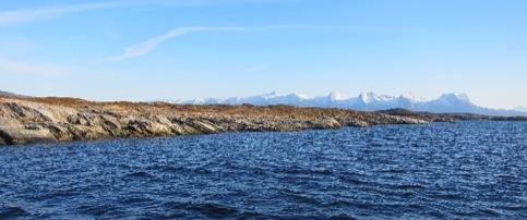 nr 156 2013) 1 gjennomførte sommeren 2013 en kartlegging av blant annet Herøy kommune med tanke på verdifulle