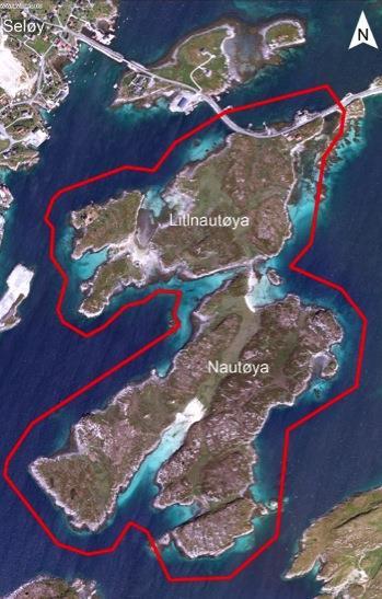2 PLANOMRÅDET 2.1 Dagens situasjon Planområdet ligger i Herøy kommune på Helgelandskysten. Kommunen består av totalt 3122 øyer, der veger knytter sammen de største øyene via bruer.
