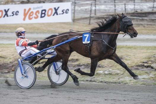 GLOWs løp 2100m BAAZZO H.R: Dag-Sveinung Dalen 1.