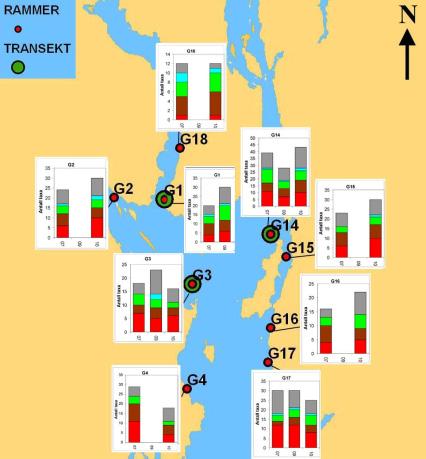 Figur 48. Antall taxa tilstede på ved rammeundersøkelser på strandsonestasjonene i nordlig del av Ytre Oslofjord i 2007, 2009 og 2010.
