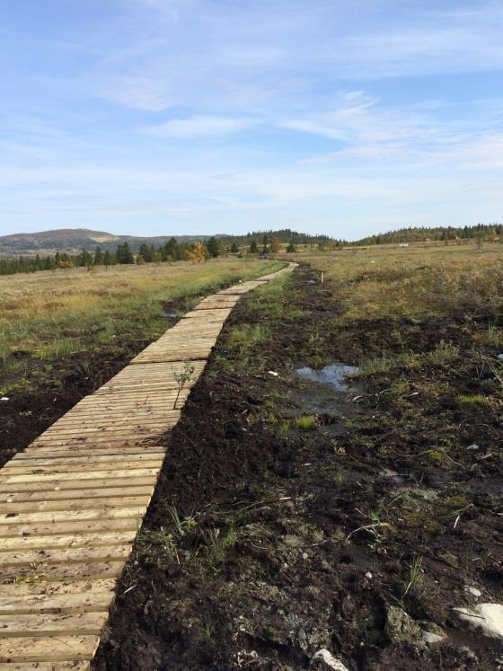 o o Kongevegen over Filefjell med Statens vegvesen, der VNK er en aktiv bidragsyter Kloppet 12 km i Valdreskommunene med midler fra Gjensidigestiftelsen Kommunale tiltak o