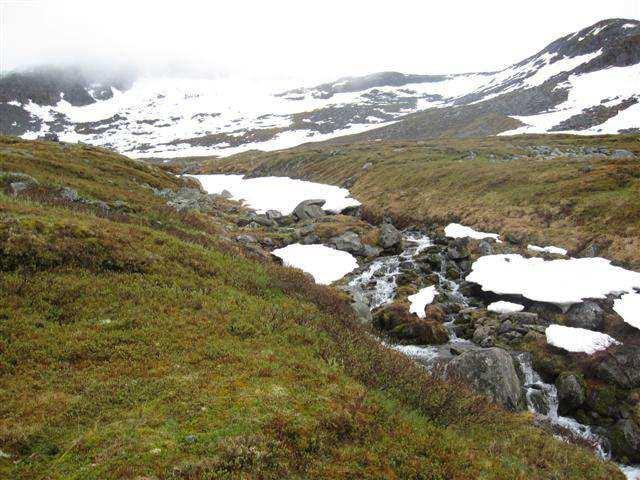 LURØY KOMMUNE Side 7 av 11 Fra inntaket i Mellomelva, vil røret følge vassdraget ned til samløpet med Heimstadelva, der rørene kobles sammen.