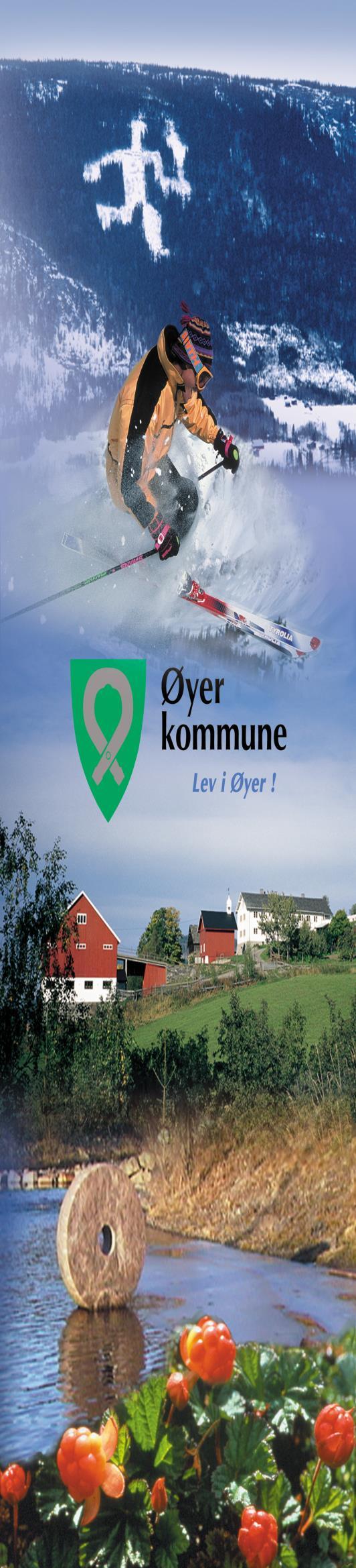 Øyer Kommune Tjenestebeskrivelser og tildelingskriterier jfr.