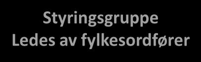 Organisering regionale planprosesser Fylkesting Fylkesutvalg Politiske