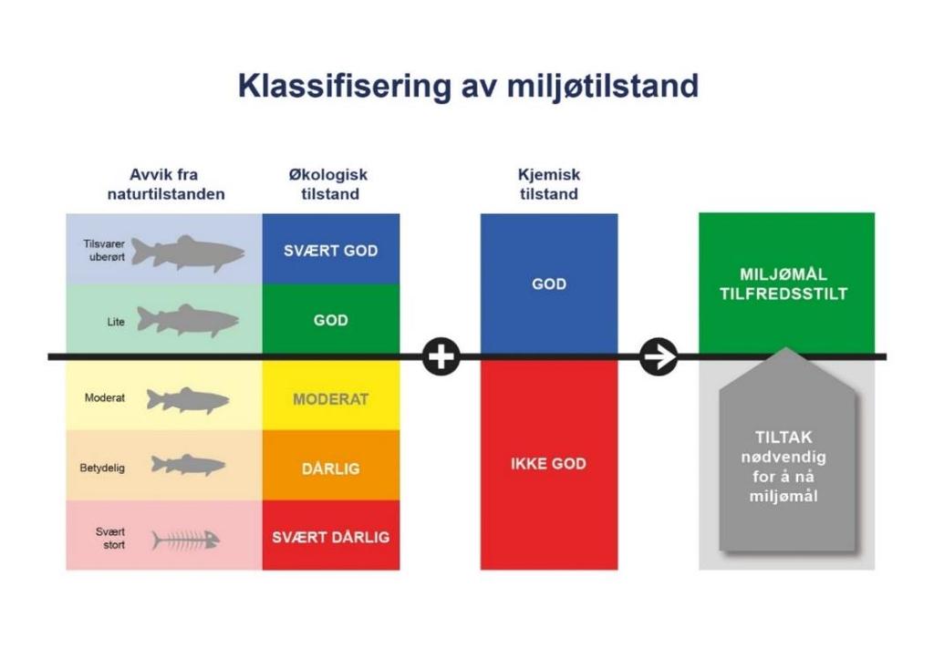 Det ble satt miljømål for alle vannforekomstene. Miljømålene etter vannforskriften er at tilstanden ikke skal forringes og at denne minst skal være «god».