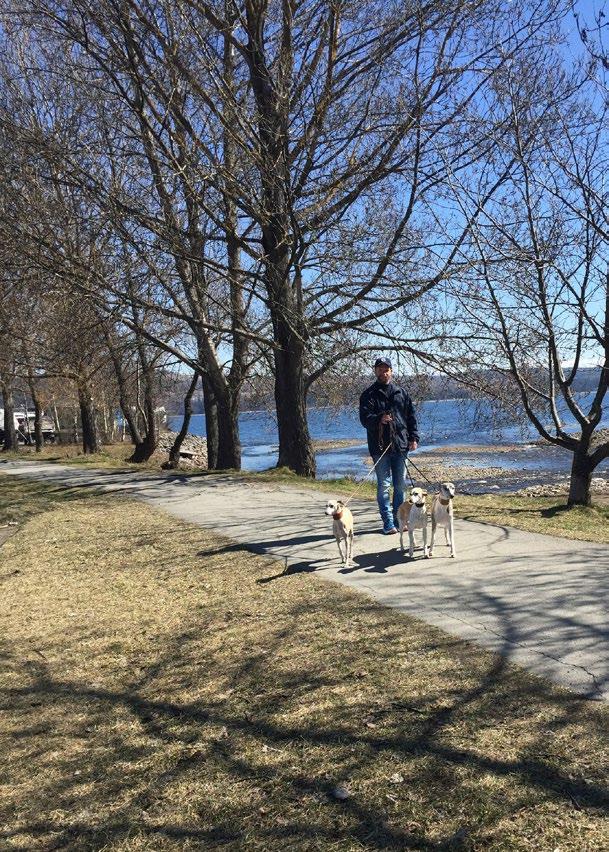 Men det arrangeres flere stevner innendørs og hvis man føler seg litt utrygg på om hunden vil ta seg en løperunde, så er det bare å starte med et stevne inne.