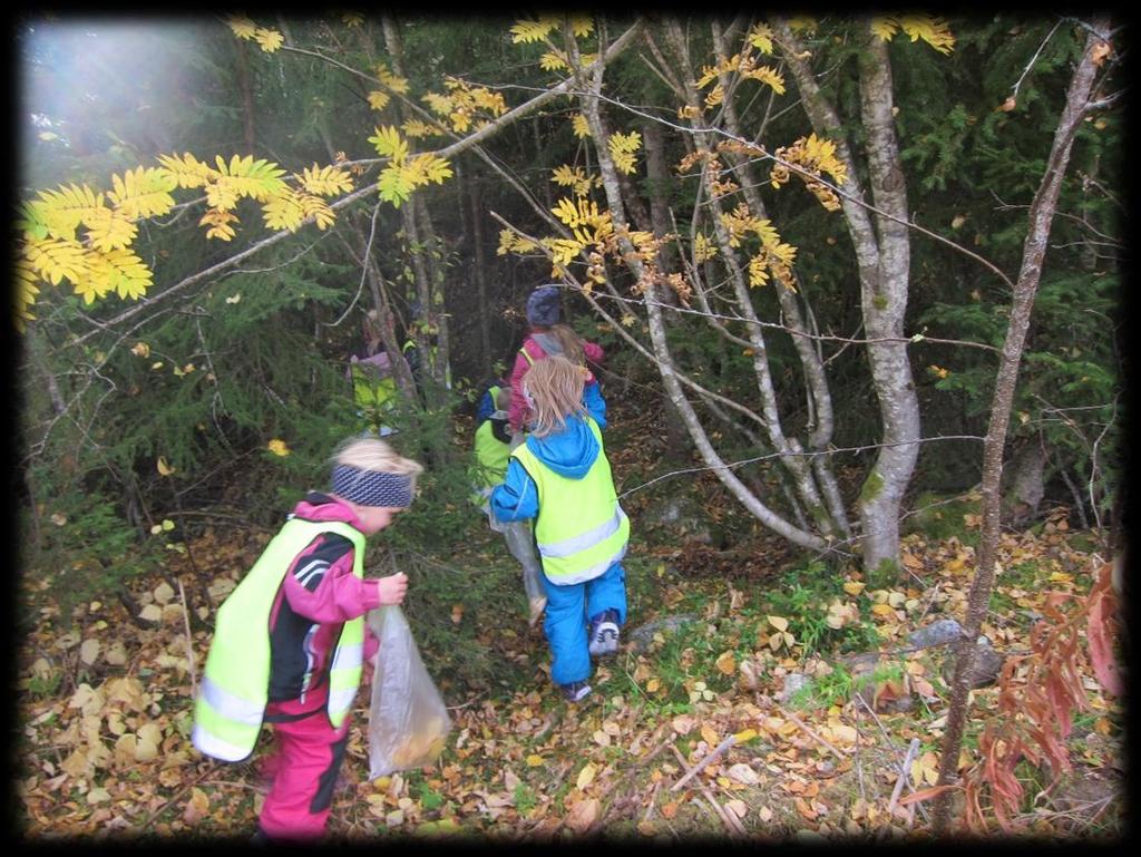 5) NATUREN I DE ULIKE ÅRSTIDENE SKOGEN. Skogen er et felles tema for alle i barnehagen.