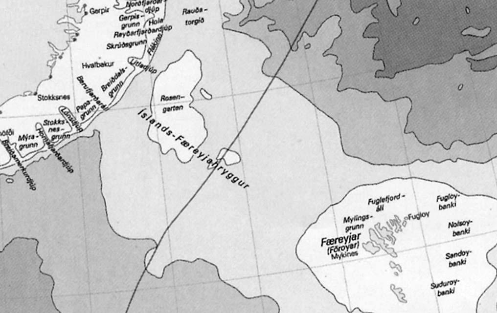 Síða 10 Nr. 287-20. februar 2003 Íslendingar reisa nú spurningin: Fer "teirra" toskur um mark til Føroya?