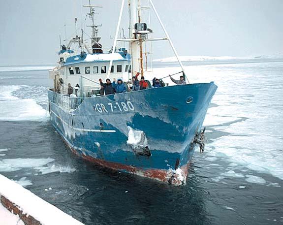 Nr. 287-20. februar 2003 Síða 13 6. februar kom eg aftur av einum túri í Nuuk.