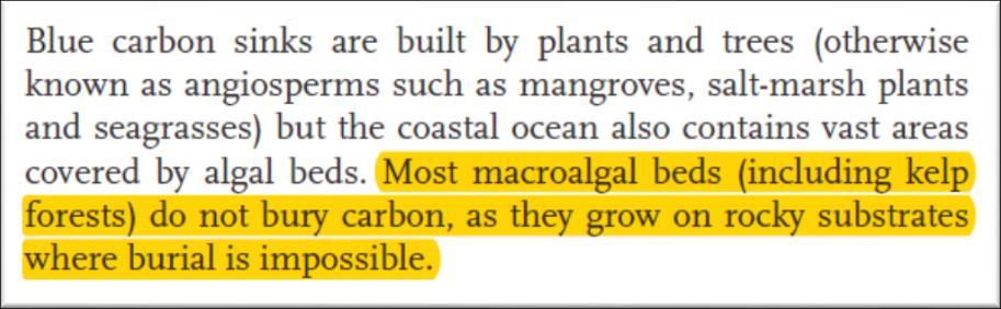 climate-combating coastal ecosystems