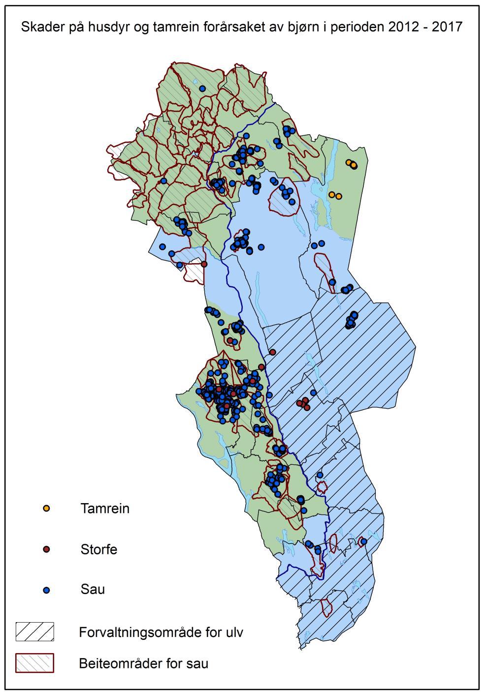 Figur 1: Dokumenterte skader forårsaket av bjørn på husdyr og tamrein i Hedmark i perioden 2012 2017. Det forekommer også skader forårsaket av bjørn på bikuber i Hedmark.