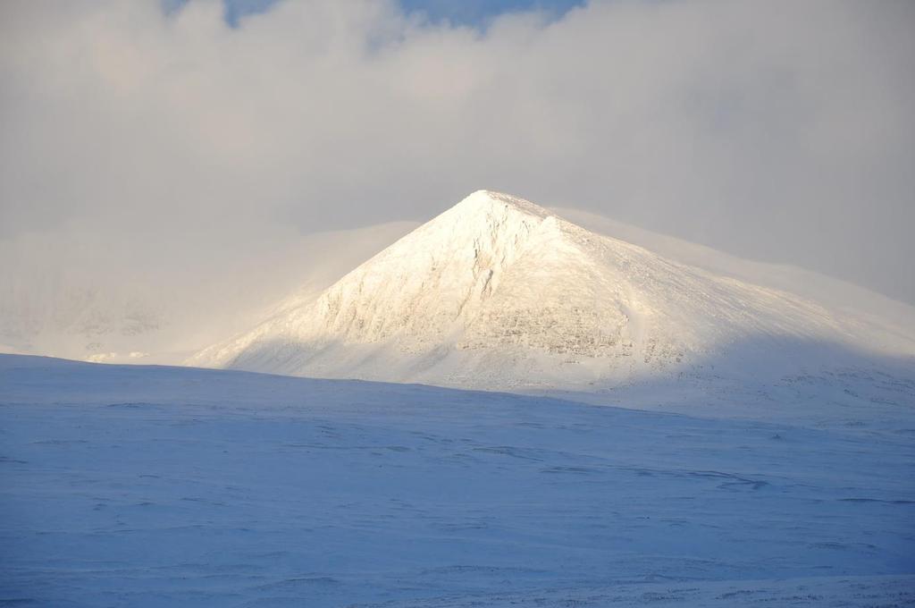 Villreinnemnda for Rondane