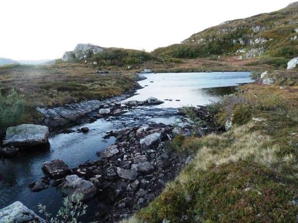 Figur 2.5. Venstre: utløpet fra Tuftavatnet, elven er relativt grov. Oppe til Høyre: Innløpet fra sør som er hovedgyteelven til Tuftavatnet.