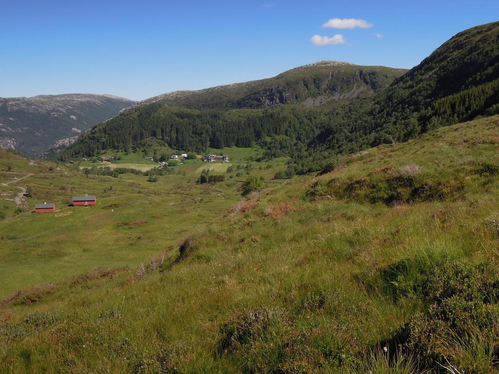 Alternative nettilknytninger av Dalsbotnfjellet vindkraftverk Konsekvenser for