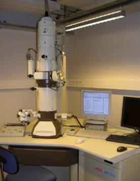 EM microscopy