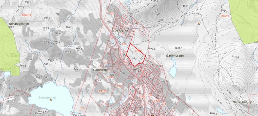 Planområdet i markslagskart Det er ikke registrert truede eller sårbare arter eller risiko arter i det aktuelle planområdet.