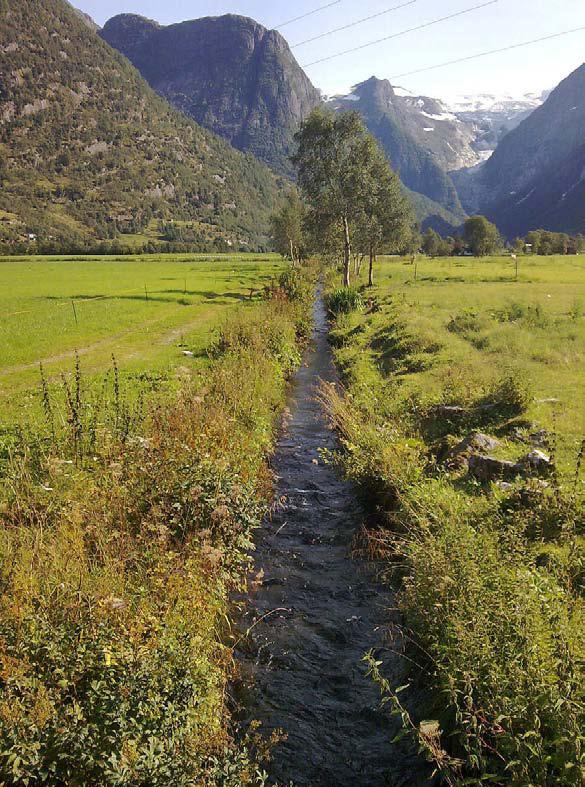 Viktige utfordringar i vassregion SF Vesentlege spørsmål Prioritering av dei viktigaste utfordringane i vassregionen Viktig grunnlag for