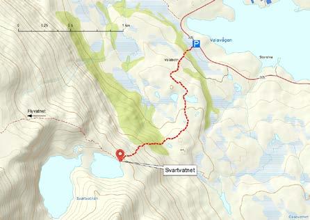 SVARTVATNET Lengde (én vei): 2 km. fergeleiet i Skåningen svinger du til høyre mot Vannavalen. Etter ca. 23 km kommer du til en trafostasjon, et lite stykke før ungdomshuset i Vannavalen.