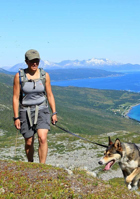 På vei opp Solltindmassivet, omkranset av uendelige turmuligheter.