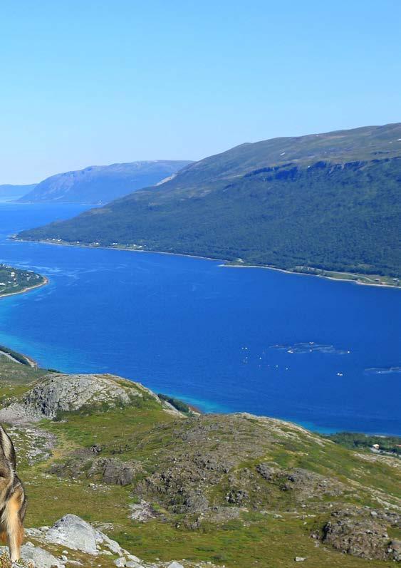 Kyststiene på Vannøya passer